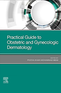 Practical Guide to Obstetric and Gynecologic Dermatology Paperback – 27 Oct. 2021